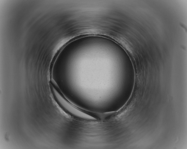 X0000097750839200803141555