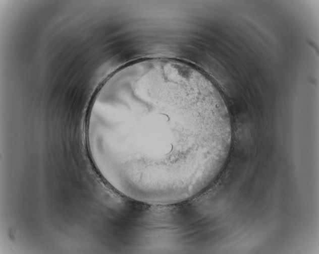 X0000097750840200803141555