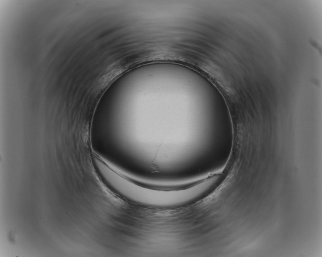 X0000097750841200803141555