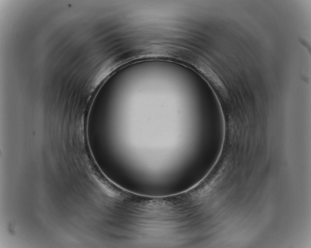 X0000097750842200803141555