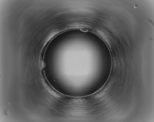 X0000097750843200803141555