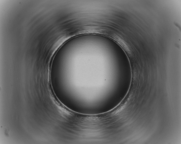 X0000097750844200803141555