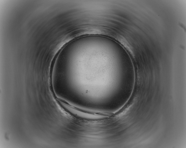 X0000097750845200803141555