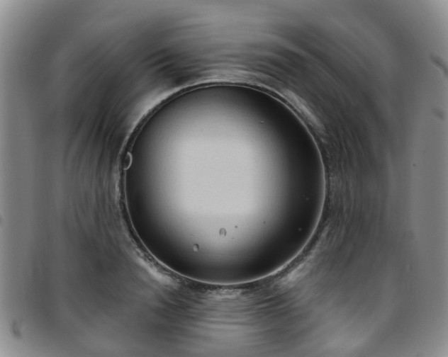 X0000097750846200803141555