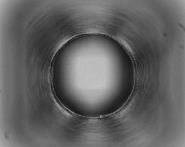 X0000097750847200803141555