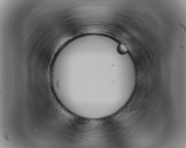 X0000097750848200803141555