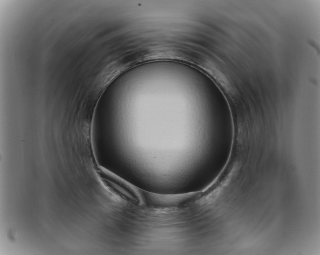 X0000097750849200803141555