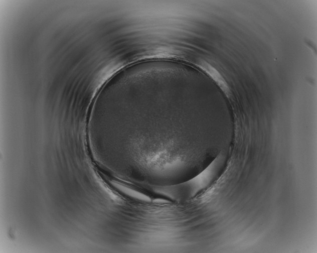 X0000097750850200803141555