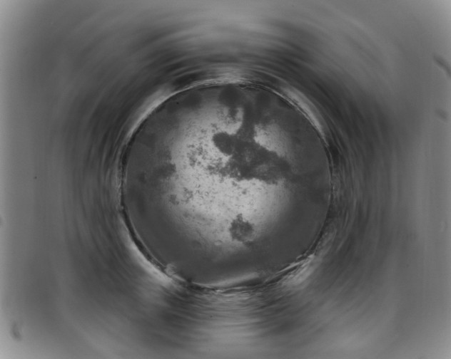 X0000097750851200803141555