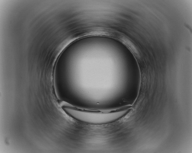 X0000097750852200803141555