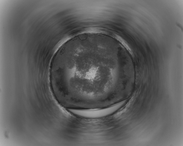 X0000097750853200803141555