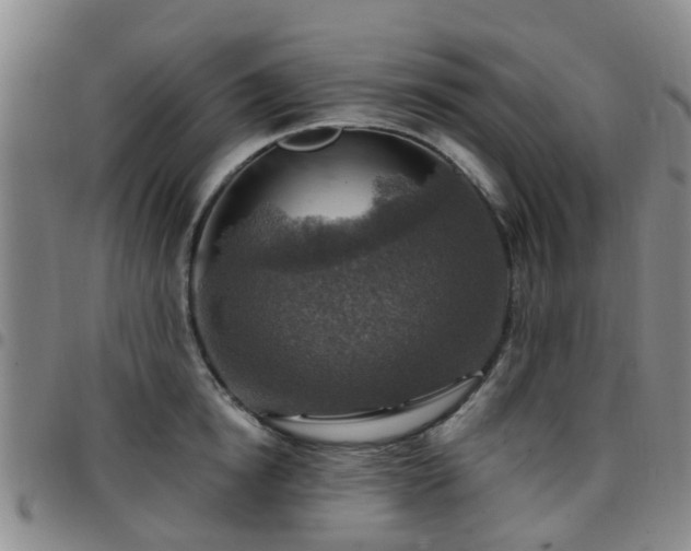 X0000097750854200803141555