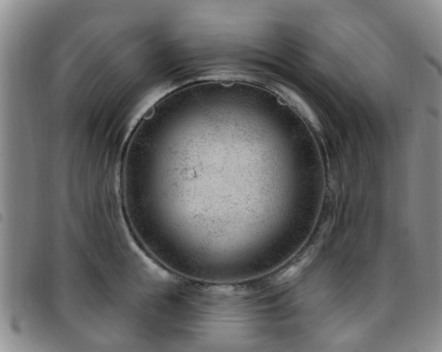 X0000097750855200803141555