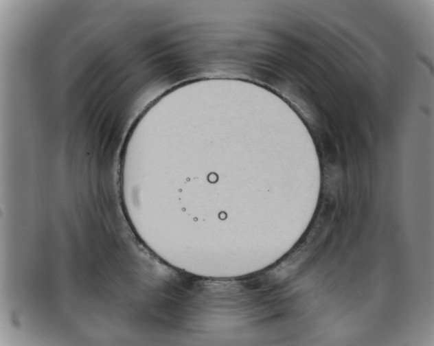 X0000097750856200803141555