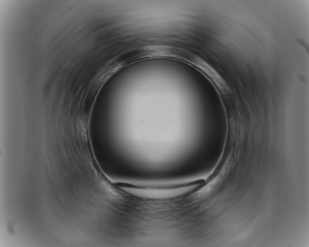 X0000097750857200803141555