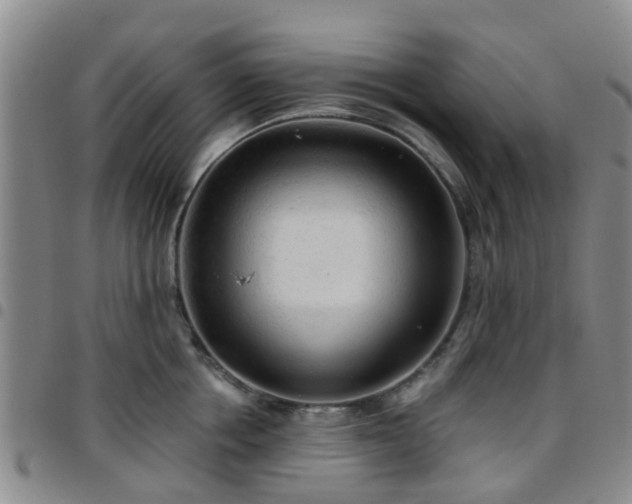 X0000097750858200803141555