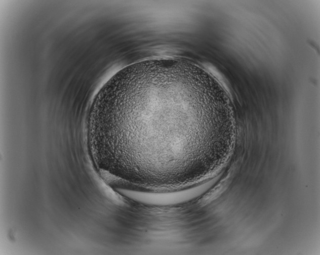 X0000097750859200803141555