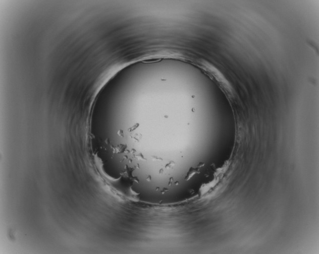 X0000097750860200803141555