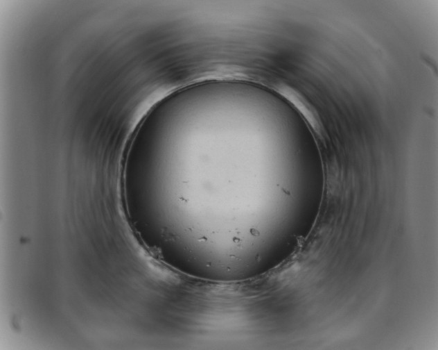 X0000097750861200803141555