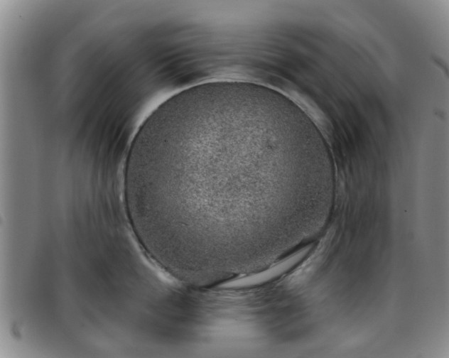 X0000097750862200803141555