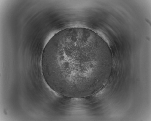 X0000097750863200803141555