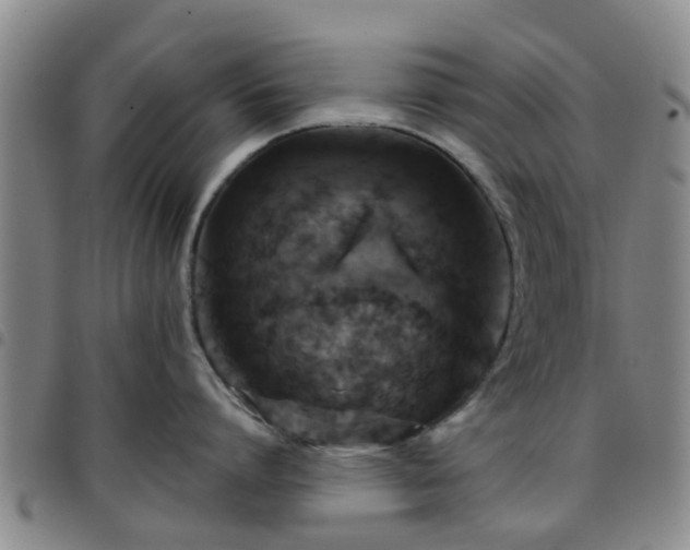 X0000097750864200803141555