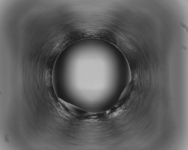 X0000097750868200803141554