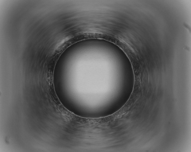 X0000097750870200803141554