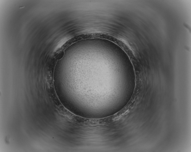 X0000097750871200803141554