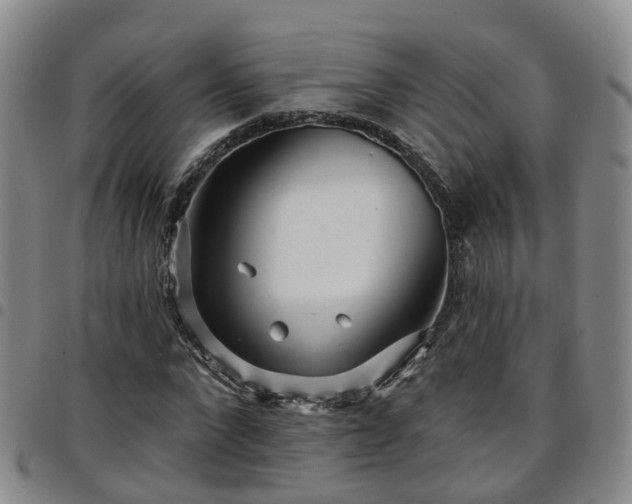 X0000097750872200803141554