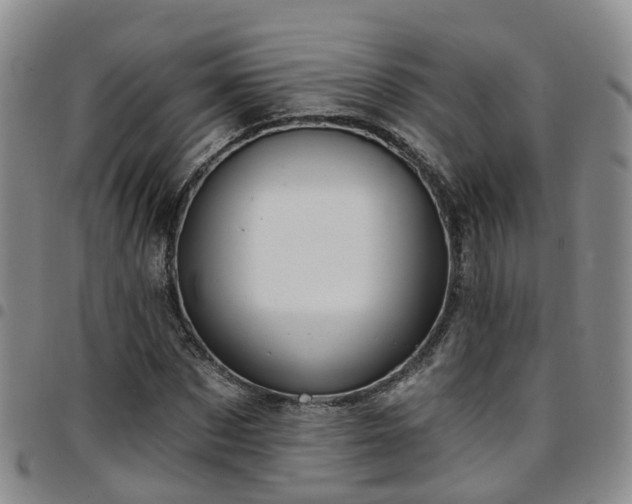 X0000097750873200803141554