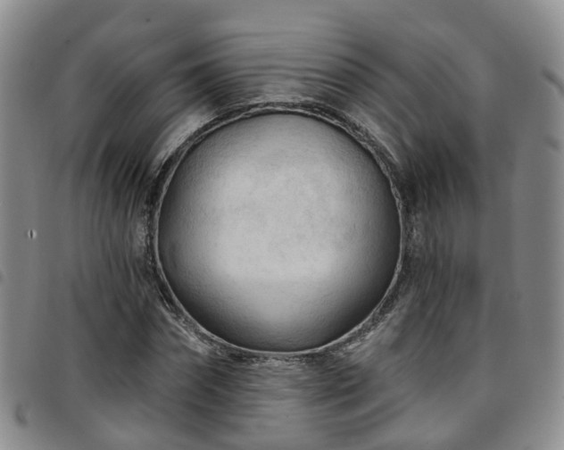 X0000097750874200803141554