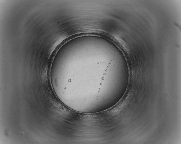 X0000097750875200803141554