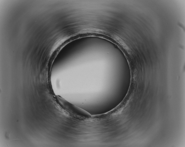 X0000097750877200803141554