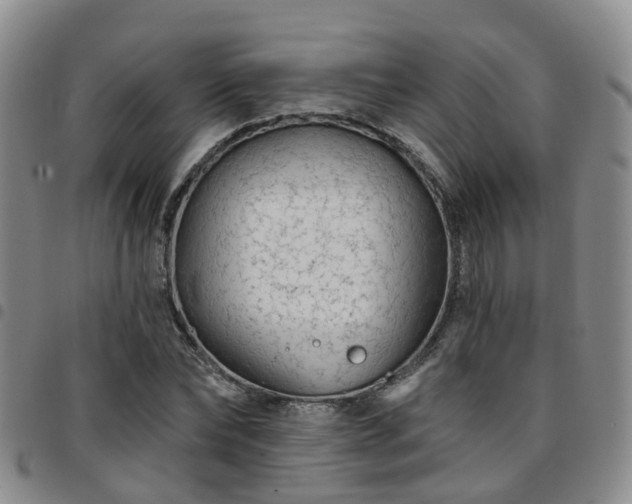 X0000097750878200803141554