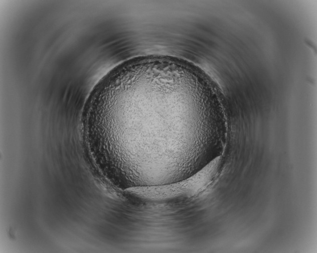 X0000097750879200803141554