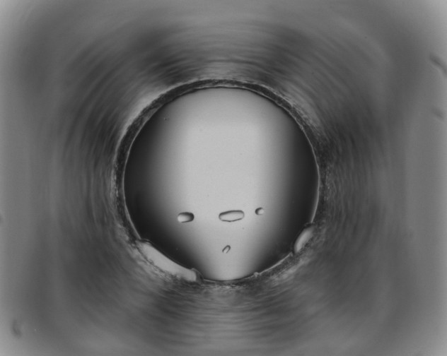 X0000097750880200803141554