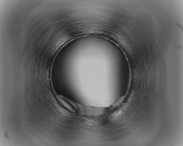 X0000097750881200803141554