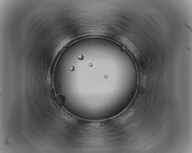 X0000097750883200803141554