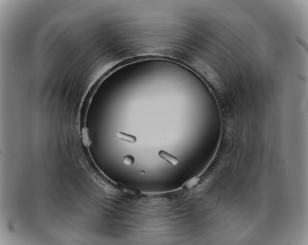 X0000097750884200803141554