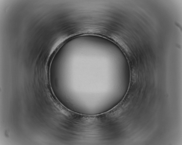 X0000097750886200803141554