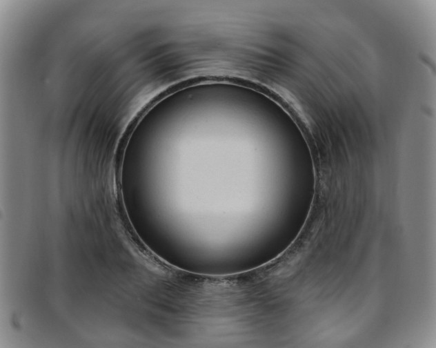 X0000097750887200803141554