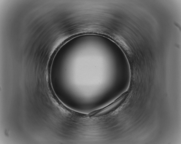 X0000097750888200803141554