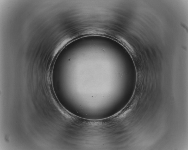 X0000097750893200803141554