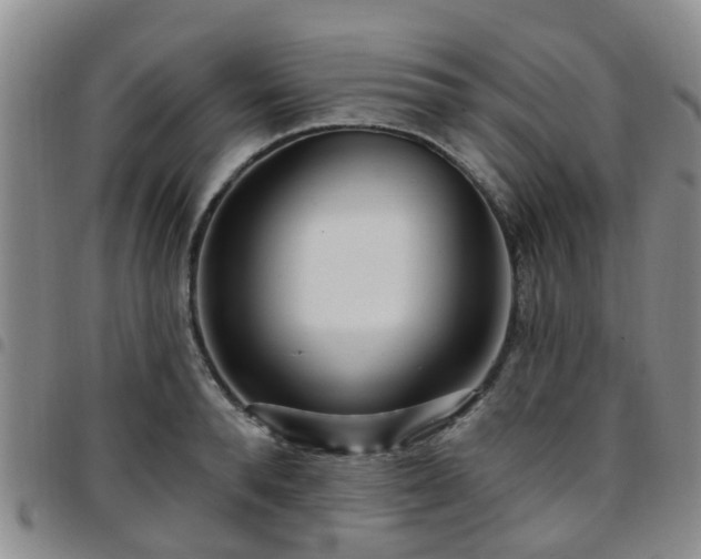 X0000097750896200803141554