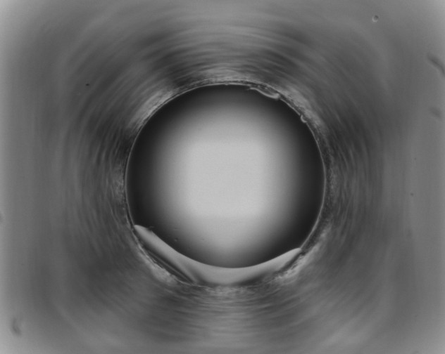 X0000097750897200803141554