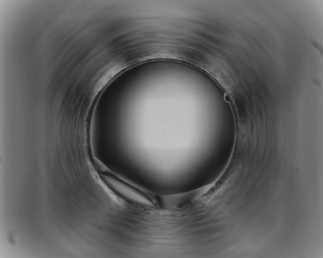 X0000097750898200803141554