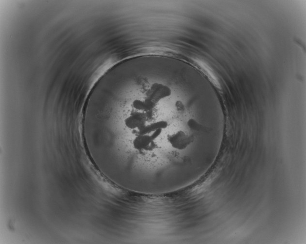 X0000097750899200803141554