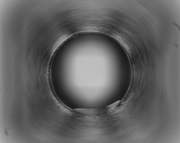 X0000097750901200803141554