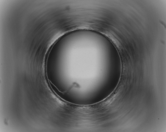 X0000097750902200803141554